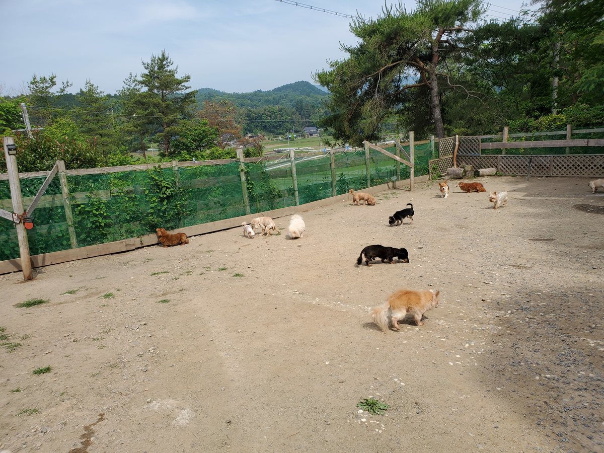 f：id：roukenhome-ann：20200606154042j：plain