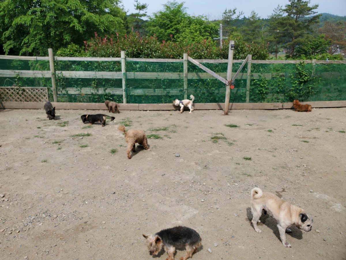 f：id：roukenhome-ann：20200606154125j：plain