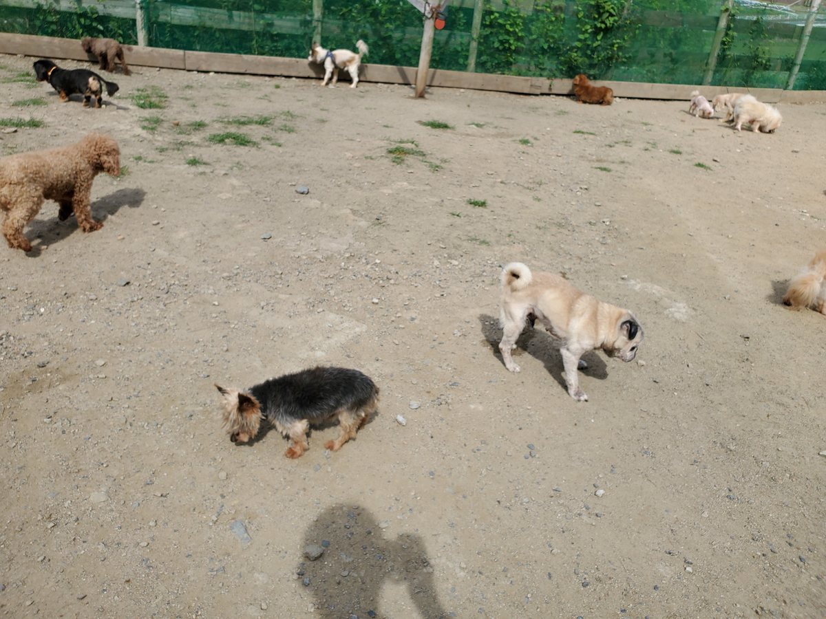 f：id：roukenhome-ann：20200606154201j：plain