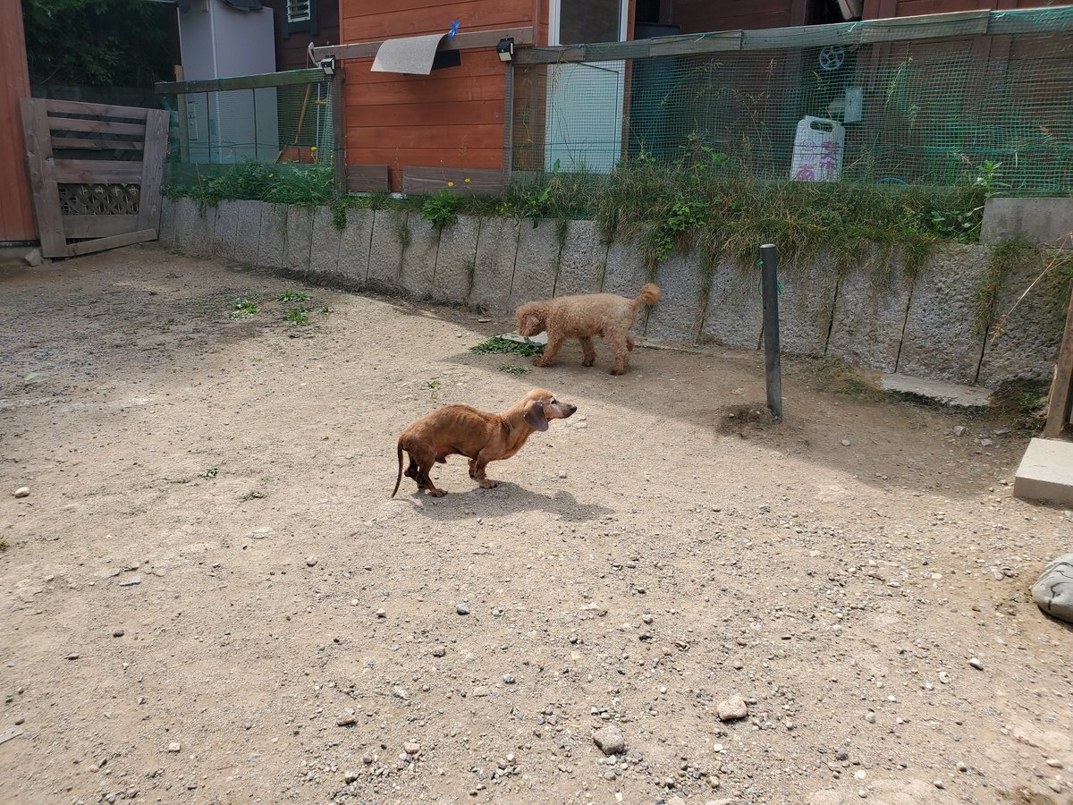 f：id：roukenhome-ann：20200606155624j：plain