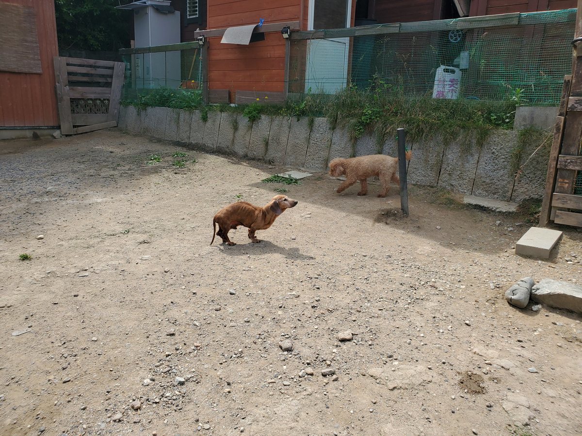 f：id：roukenhome-ann：20200606155728j：plain