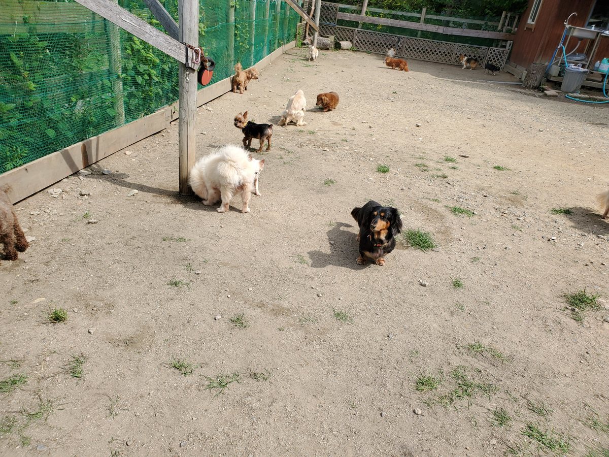 f：id：roukenhome-ann：20200606172724j：plain