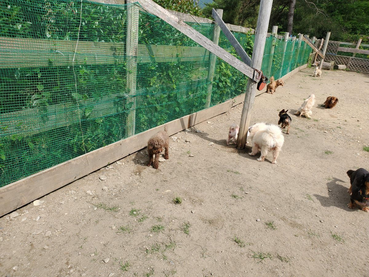 f：id：roukenhome-ann：20200606172824j：plain