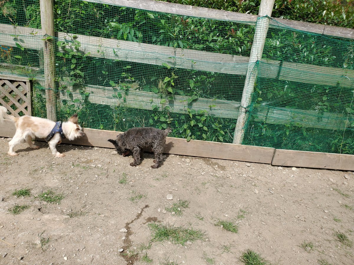 f：id：roukenhome-ann：20200606173103j：plain