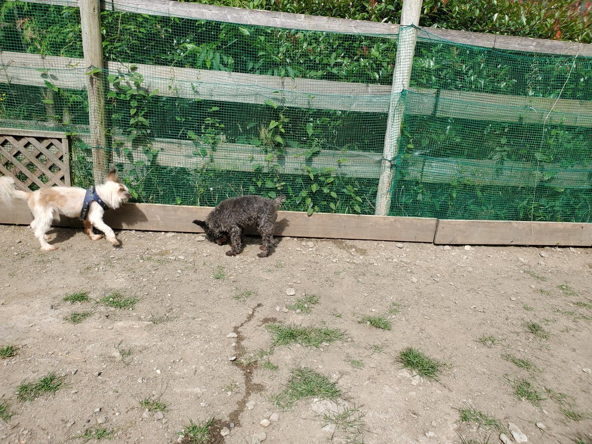 f：id：roukenhome-ann：20200606173216j：plain