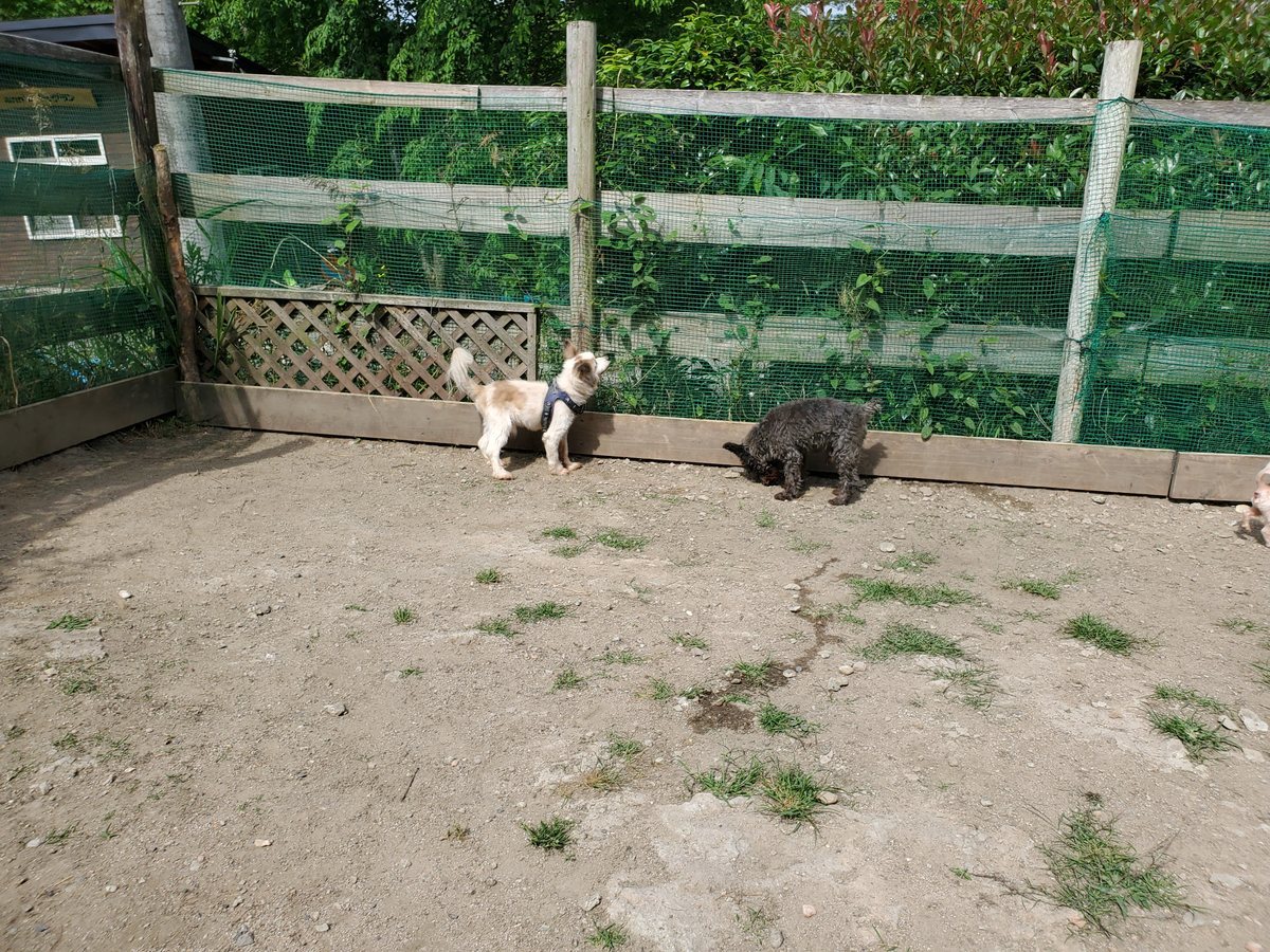 f：id：roukenhome-ann：20200606173430j：plain