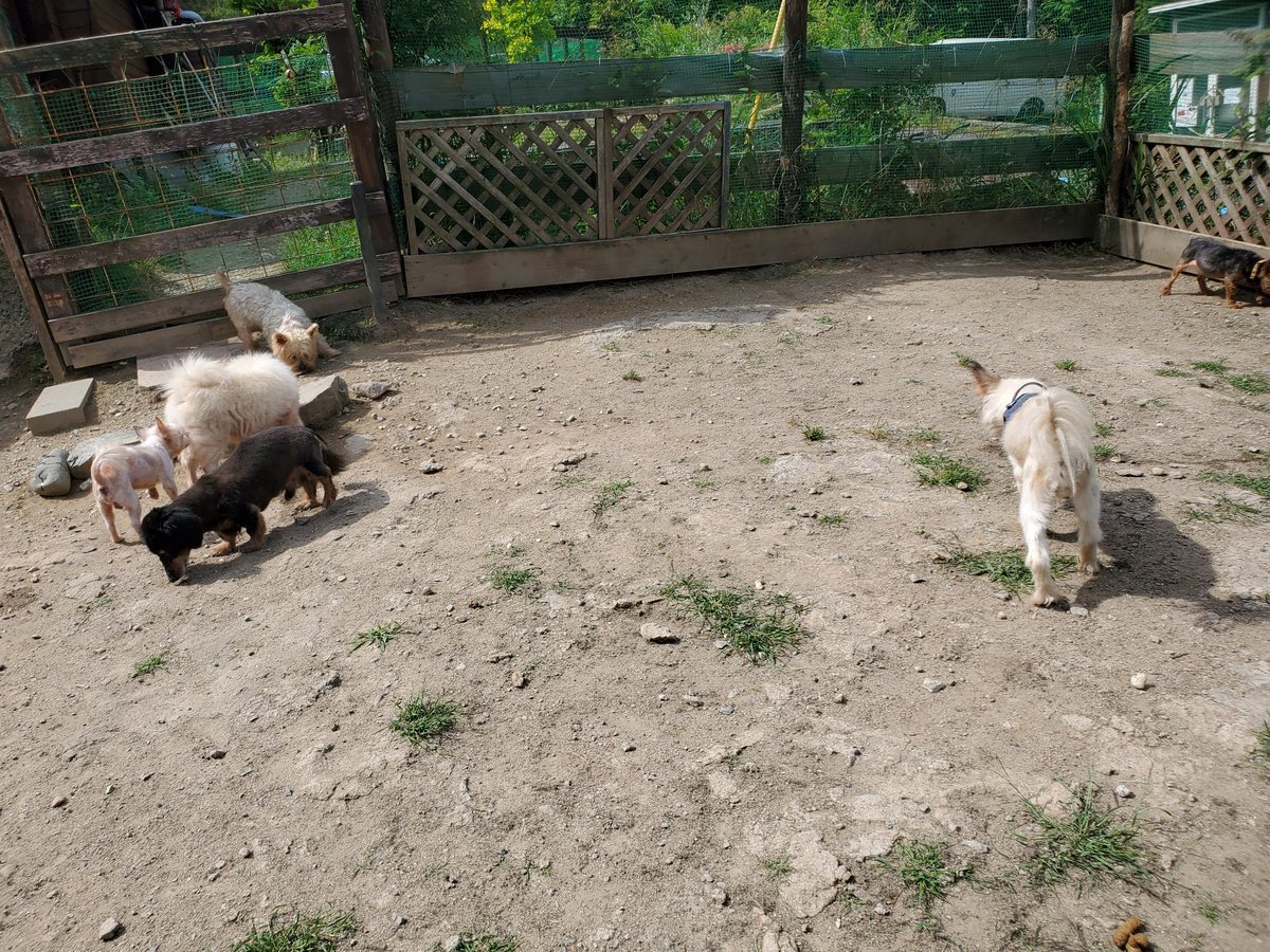 f：id：roukenhome-ann：20200606175532j：plain