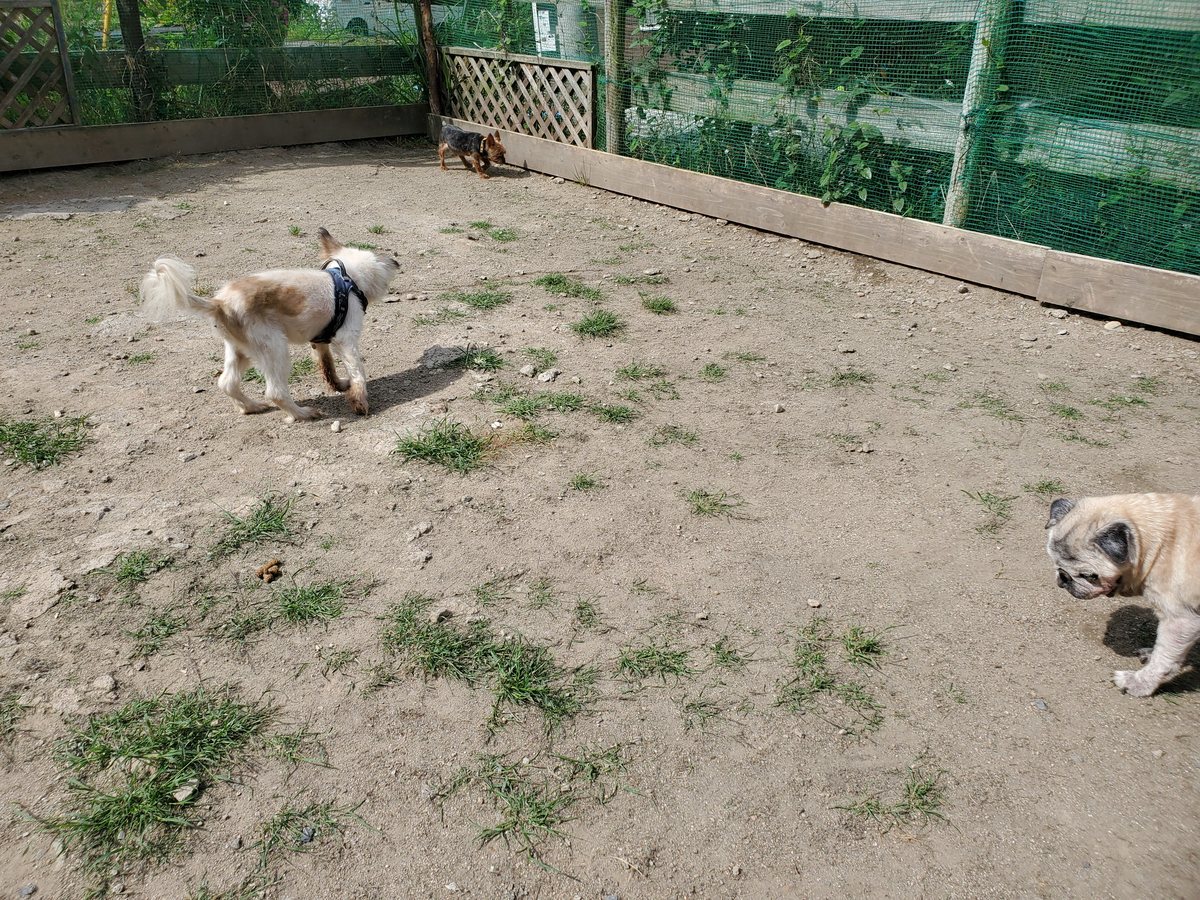 f：id：roukenhome-ann：20200606175641j：plain
