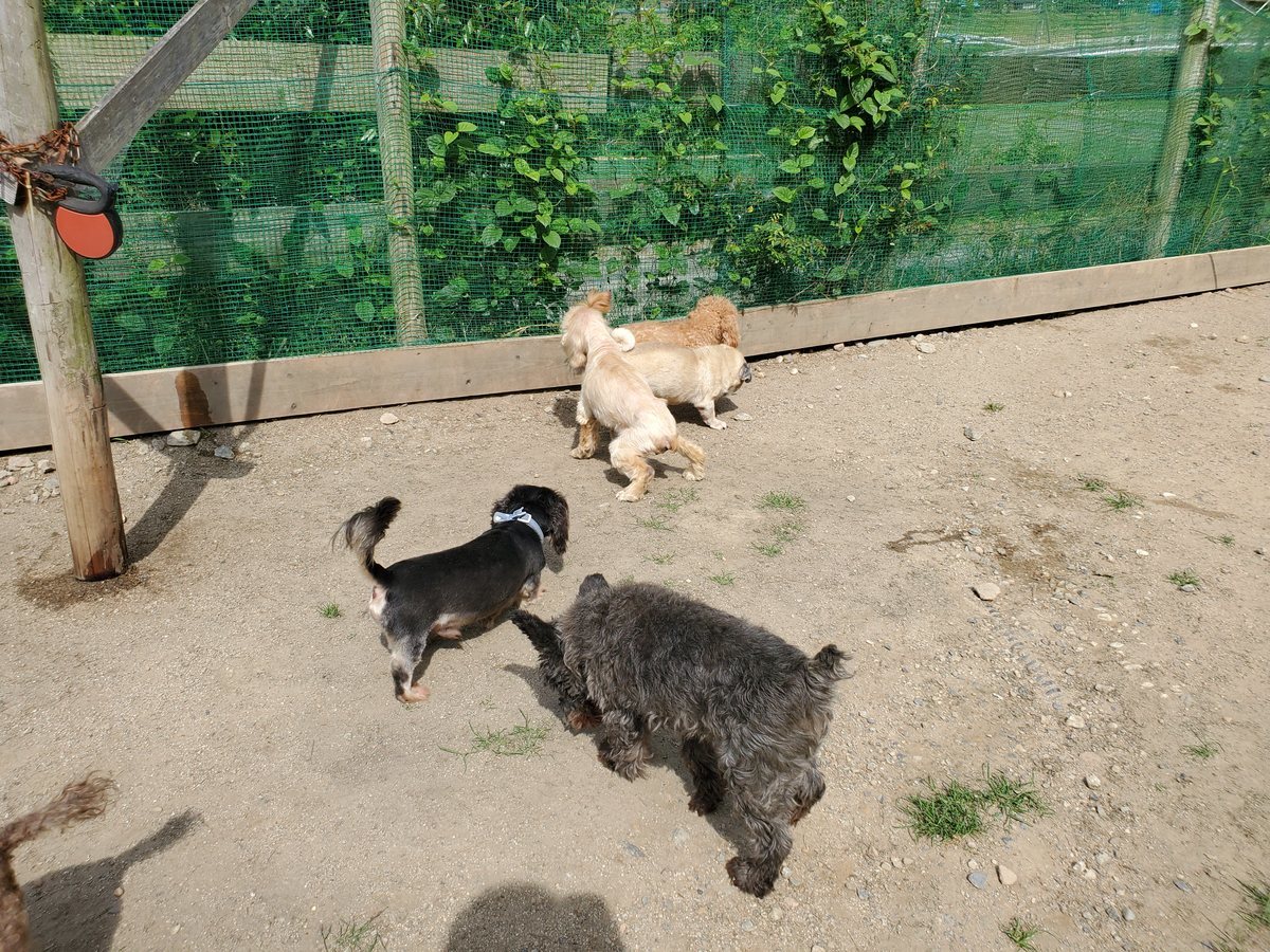 f：id：roukenhome-ann：20200606175916j：plain