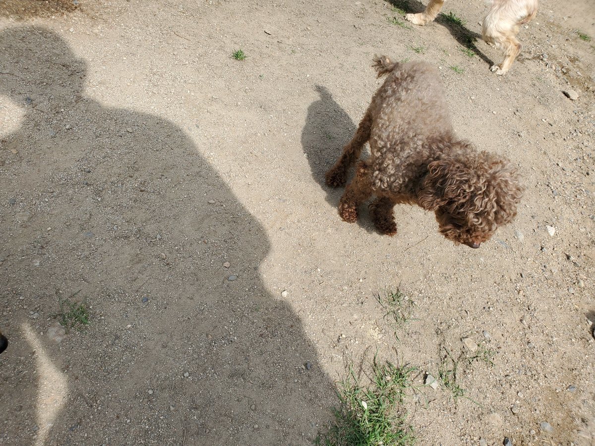 f：id：roukenhome-ann：20200606180215j：plain