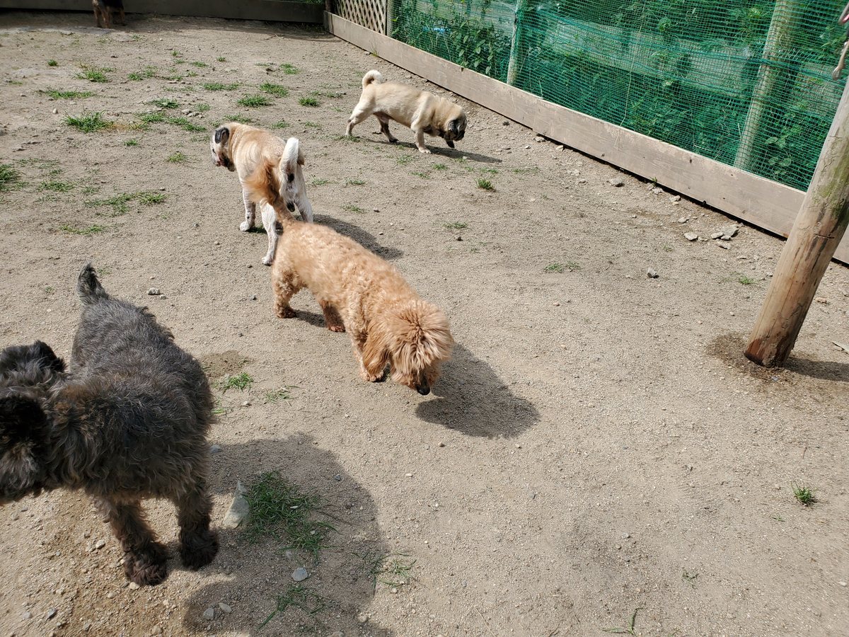 f：id：roukenhome-ann：20200606184020j：plain