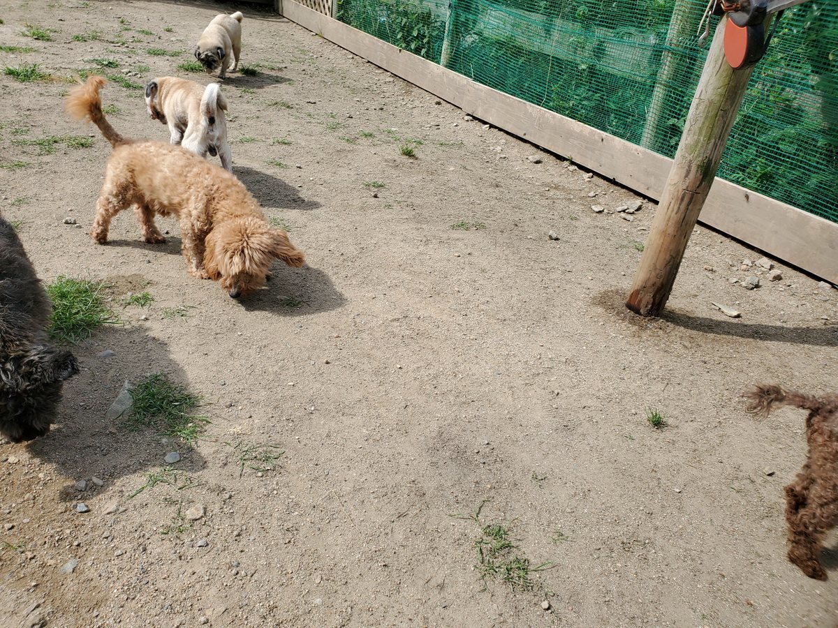 f：id：roukenhome-ann：20200606184402j：plain