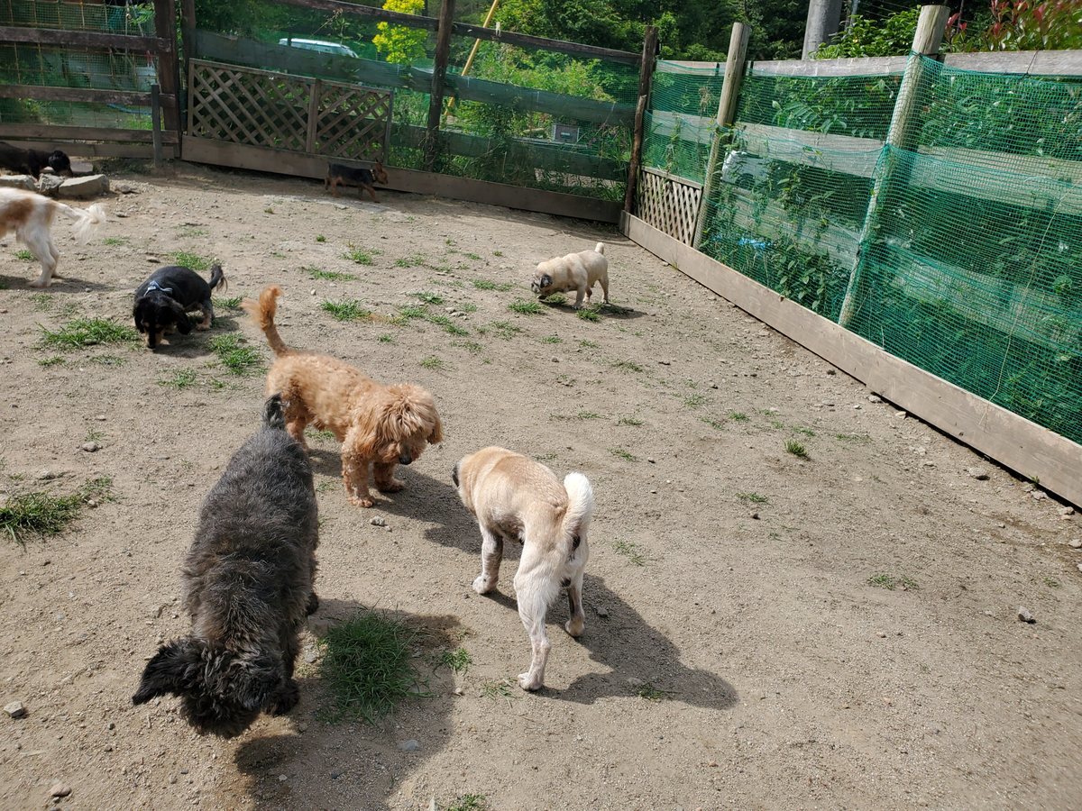 f：id：roukenhome-ann：20200606184719j：plain