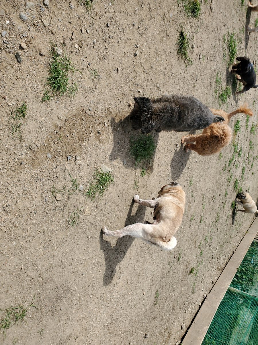 f：id：roukenhome-ann：20200606184830j：plain