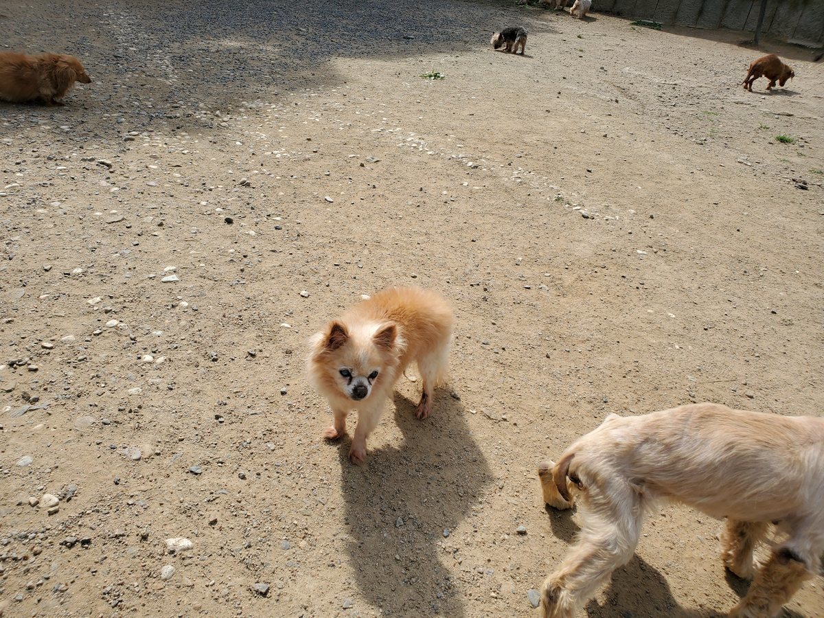 f：id：roukenhome-ann：20200606185829j：plain
