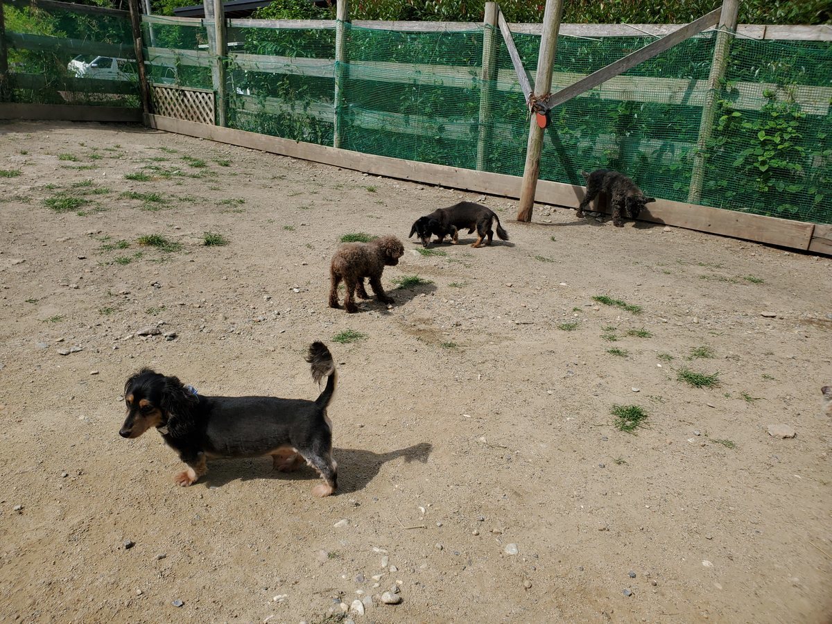 f：id：roukenhome-ann：20200606194544j：plain