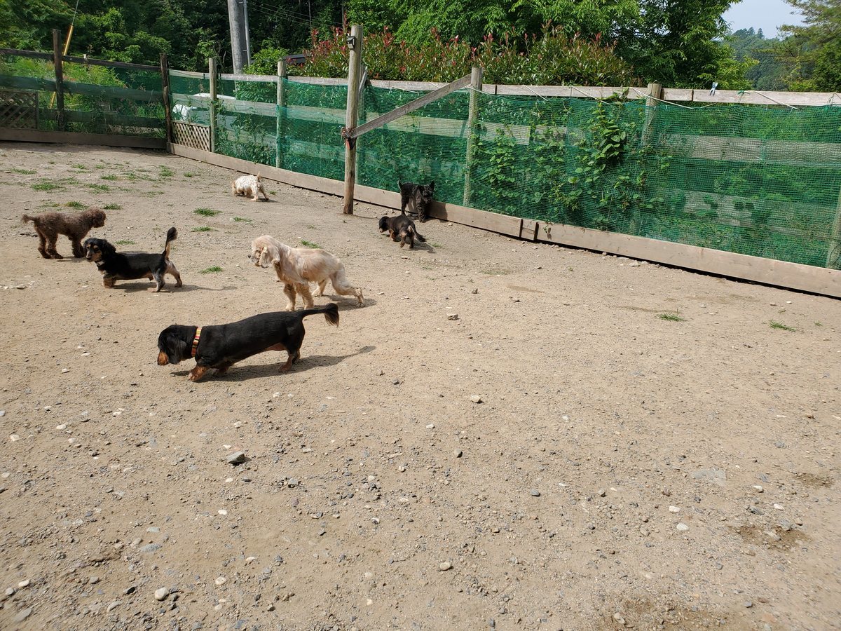f：id：roukenhome-ann：20200606195441j：plain