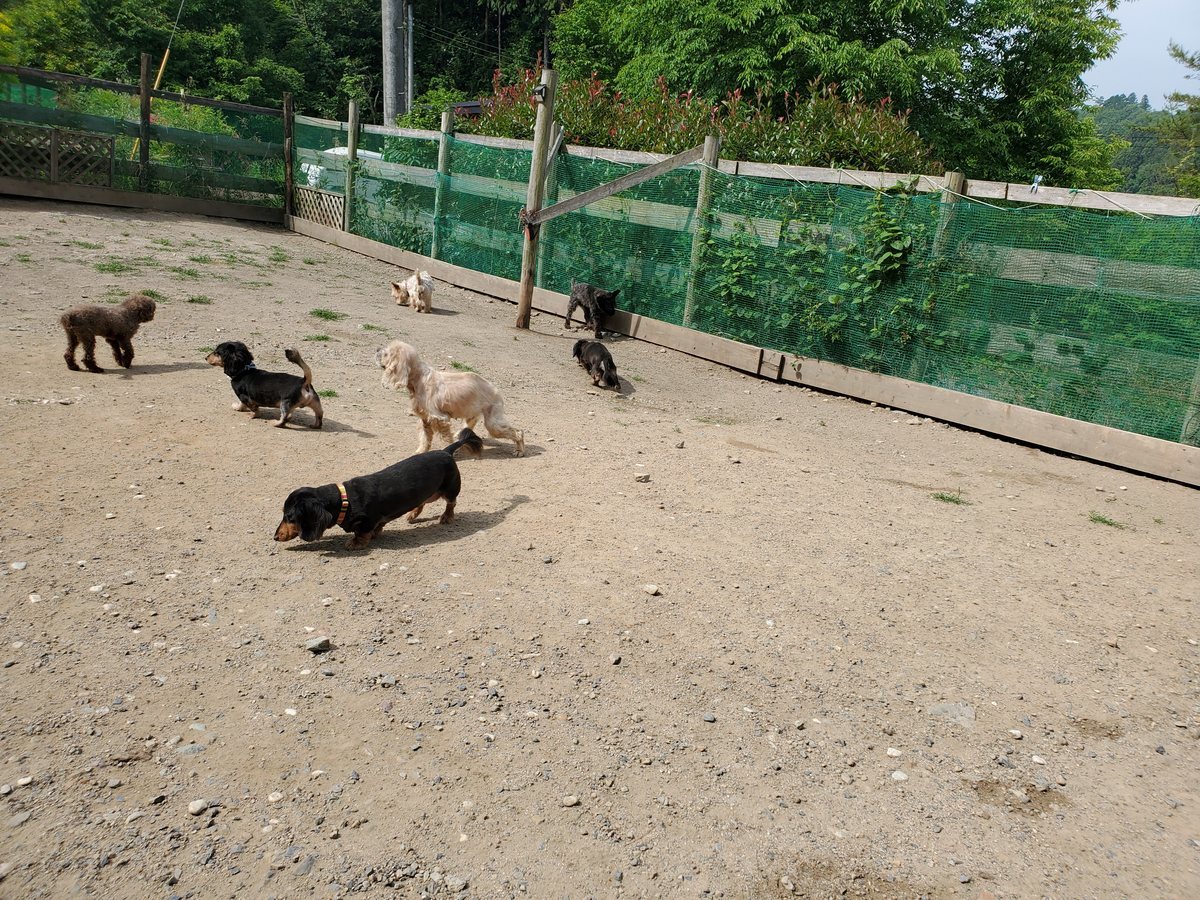 f：id：roukenhome-ann：20200606195552j：plain