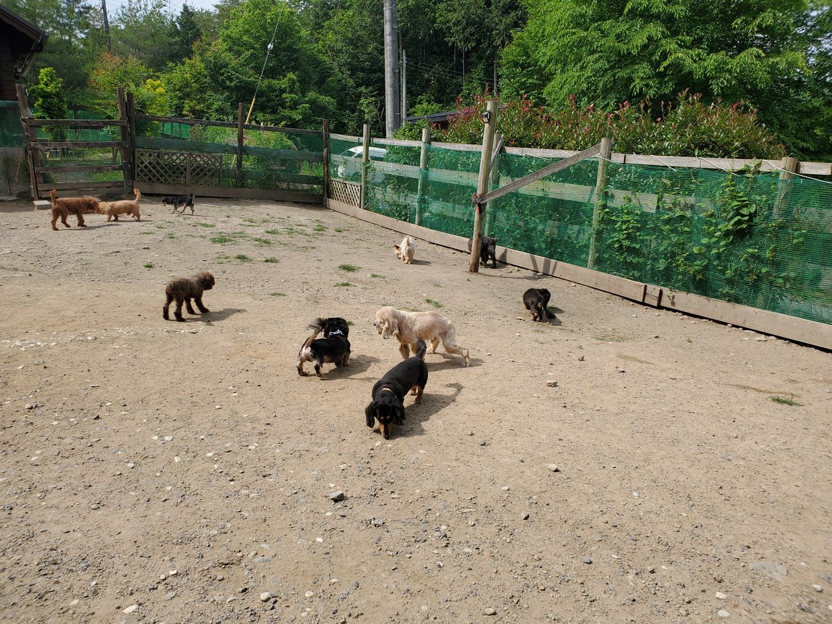 f：id：roukenhome-ann：20200606195704j：plain