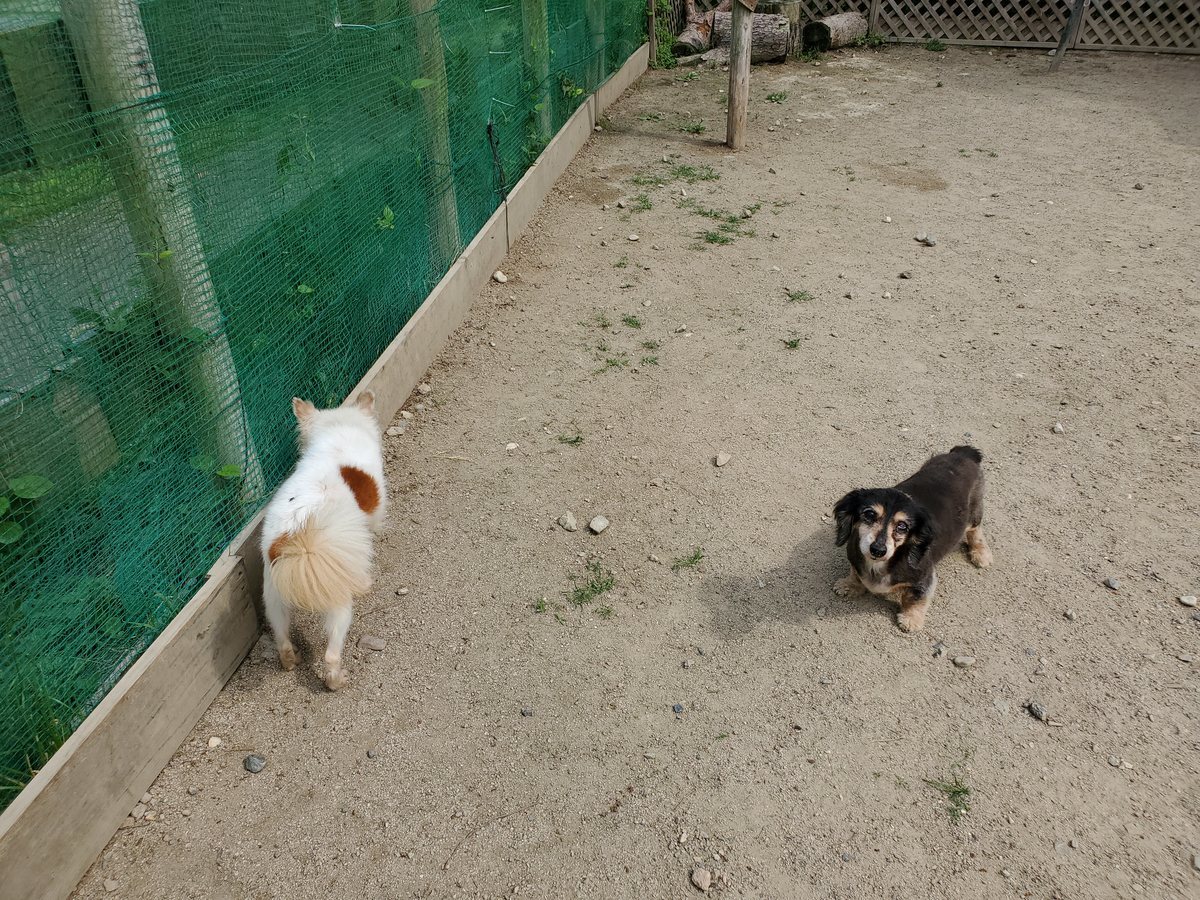 f：id：roukenhome-ann：20200606201005j：plain
