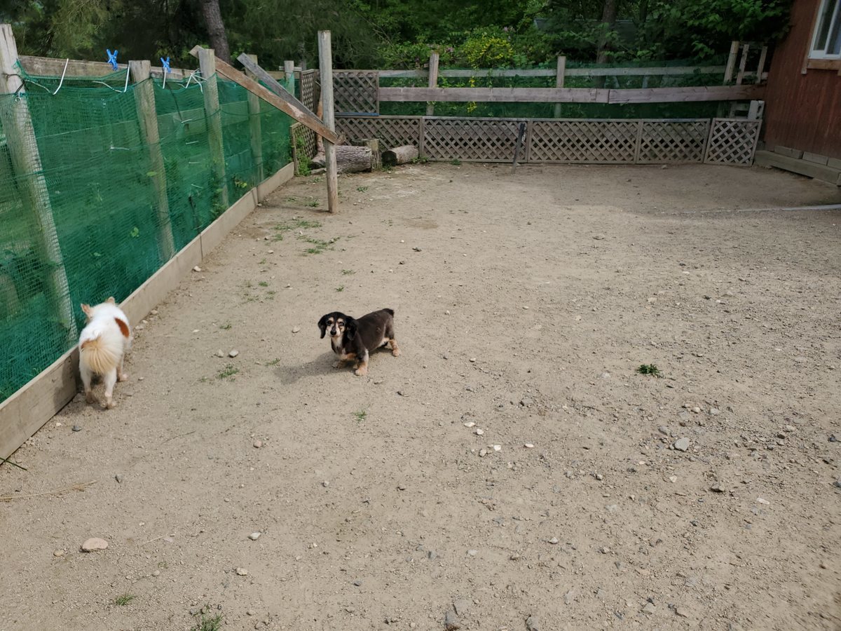 f：id：roukenhome-ann：20200606201234j：plain