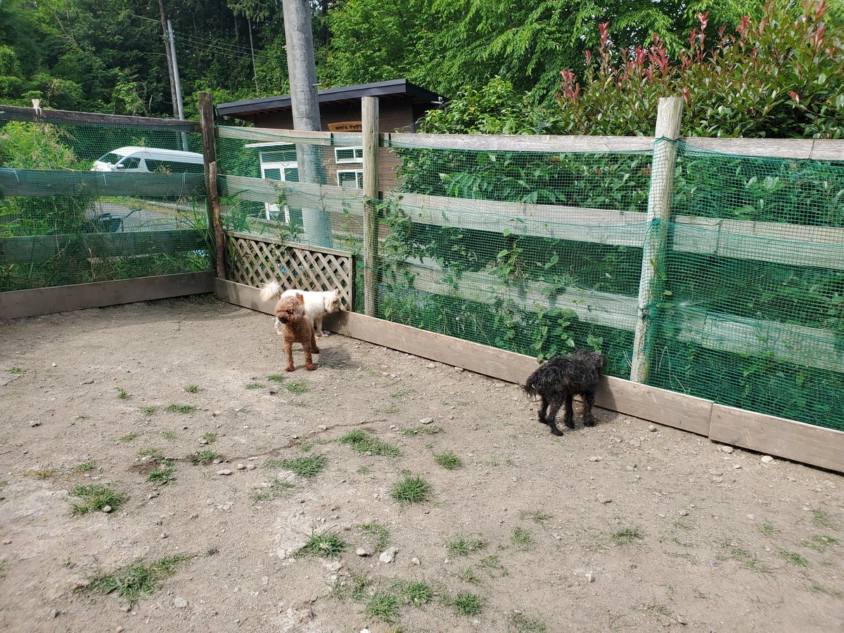 f：id：roukenhome-ann：20200606203651j：plain