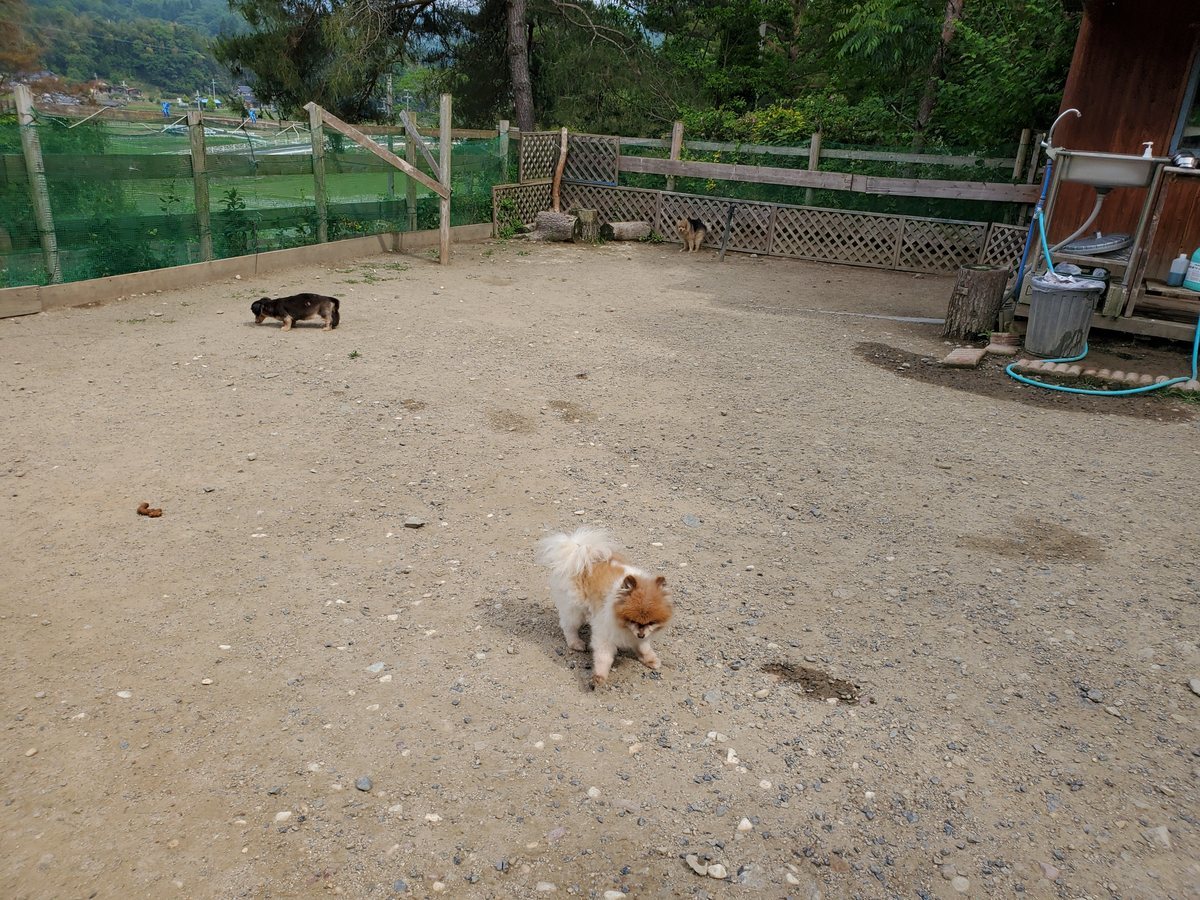 f：id：roukenhome-ann：20200606204902j：plain