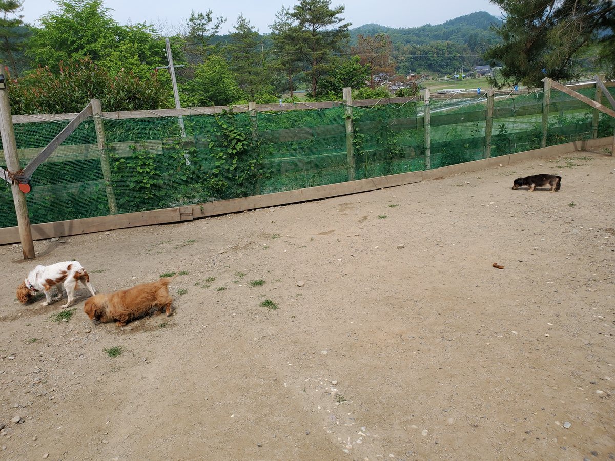 f：id：roukenhome-ann：20200606205002j：plain