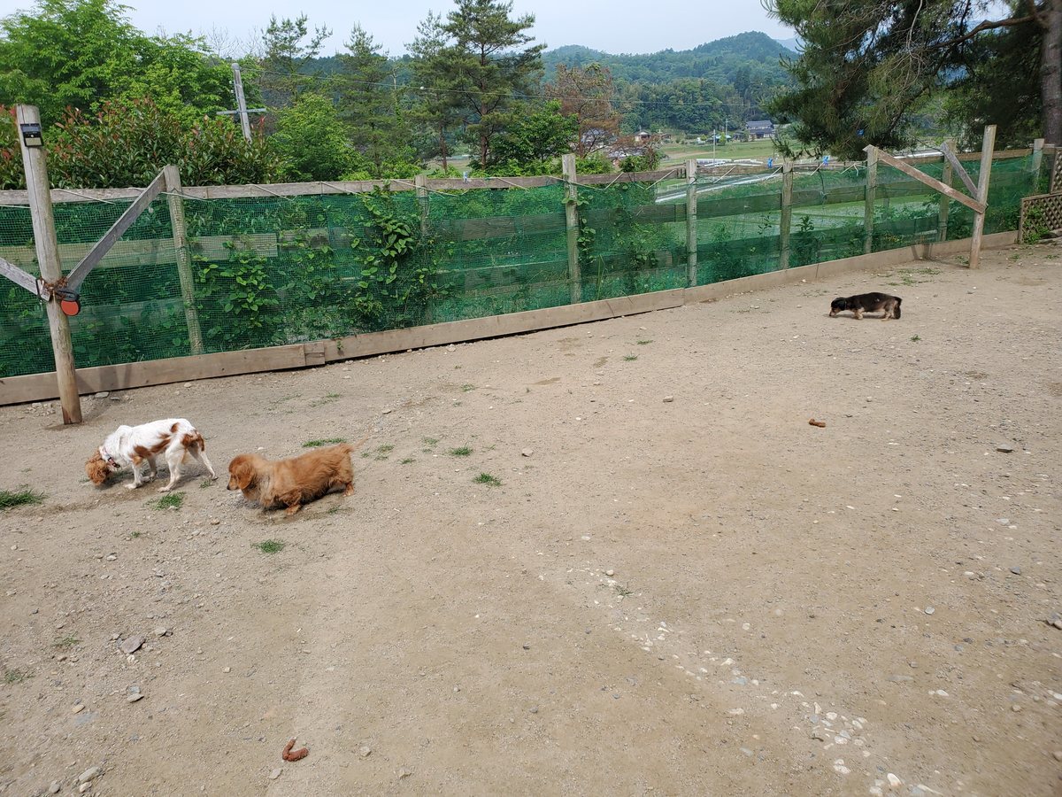 f：id：roukenhome-ann：20200606205103j：plain