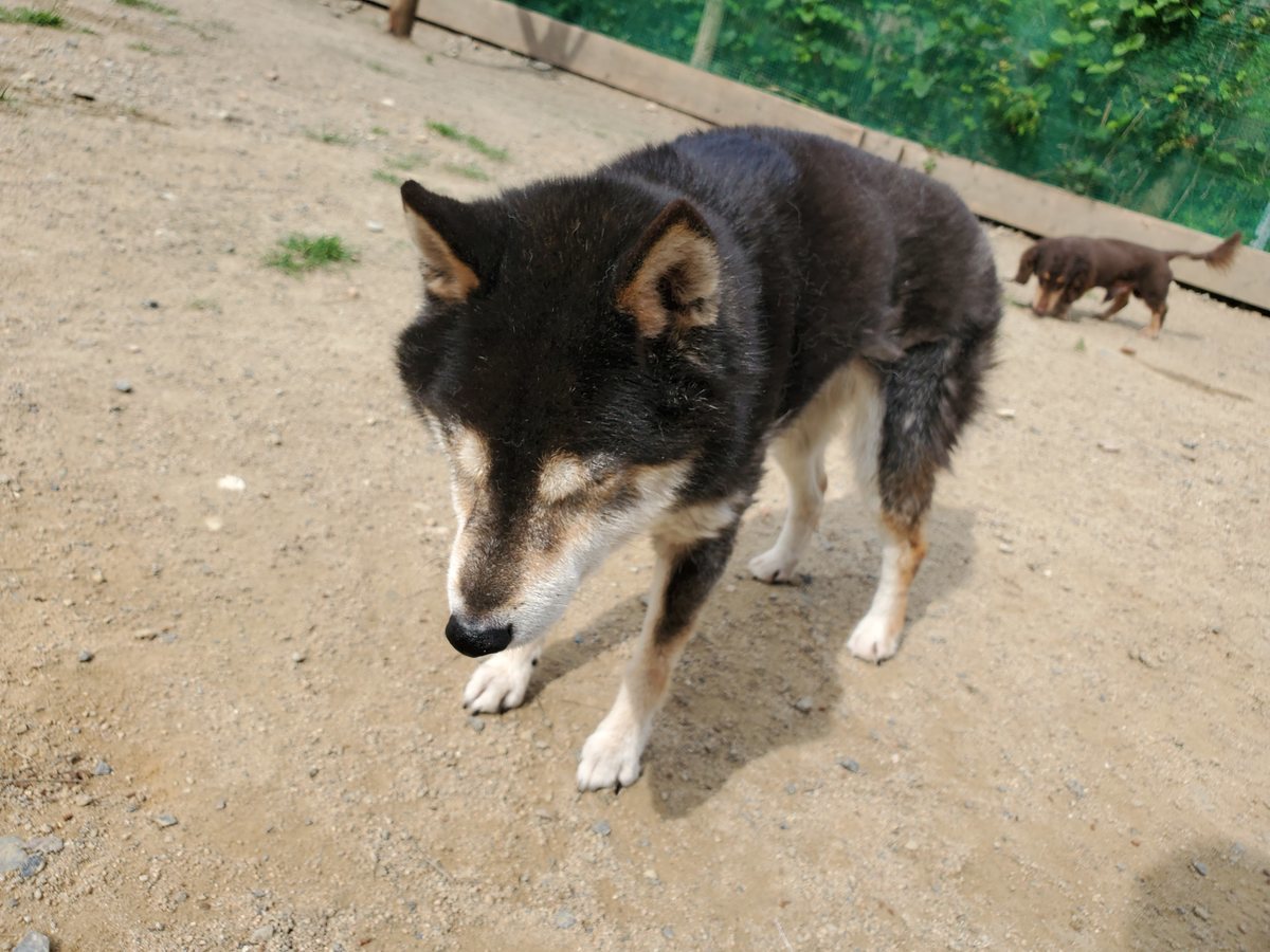 f：id：roukenhome-ann：20200606221353j：plain