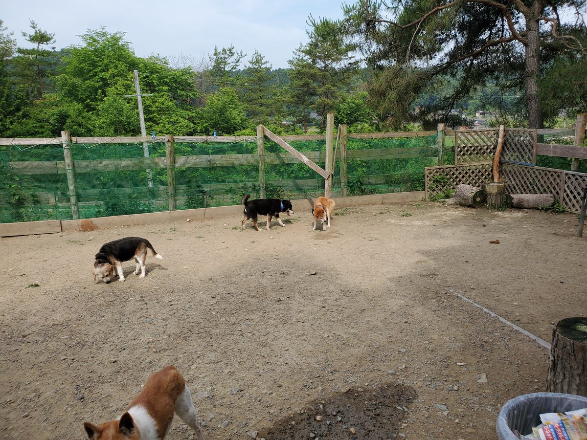 f：id：roukenhome-ann：20200606222035j：plain