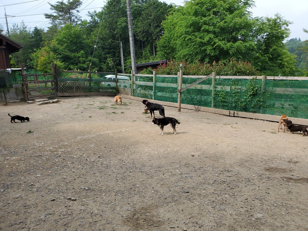 f：id：roukenhome-ann：20200606222150j：plain