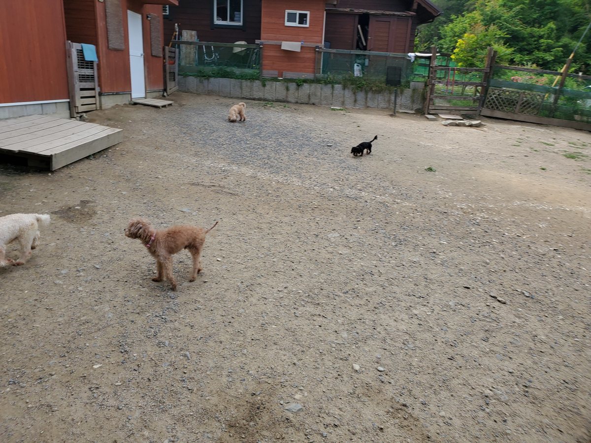 f：id：roukenhome-ann：20200607052038j：plain
