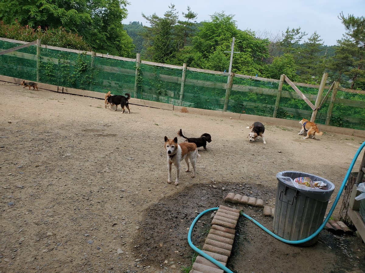 f：id：roukenhome-ann：20200607052447j：plain