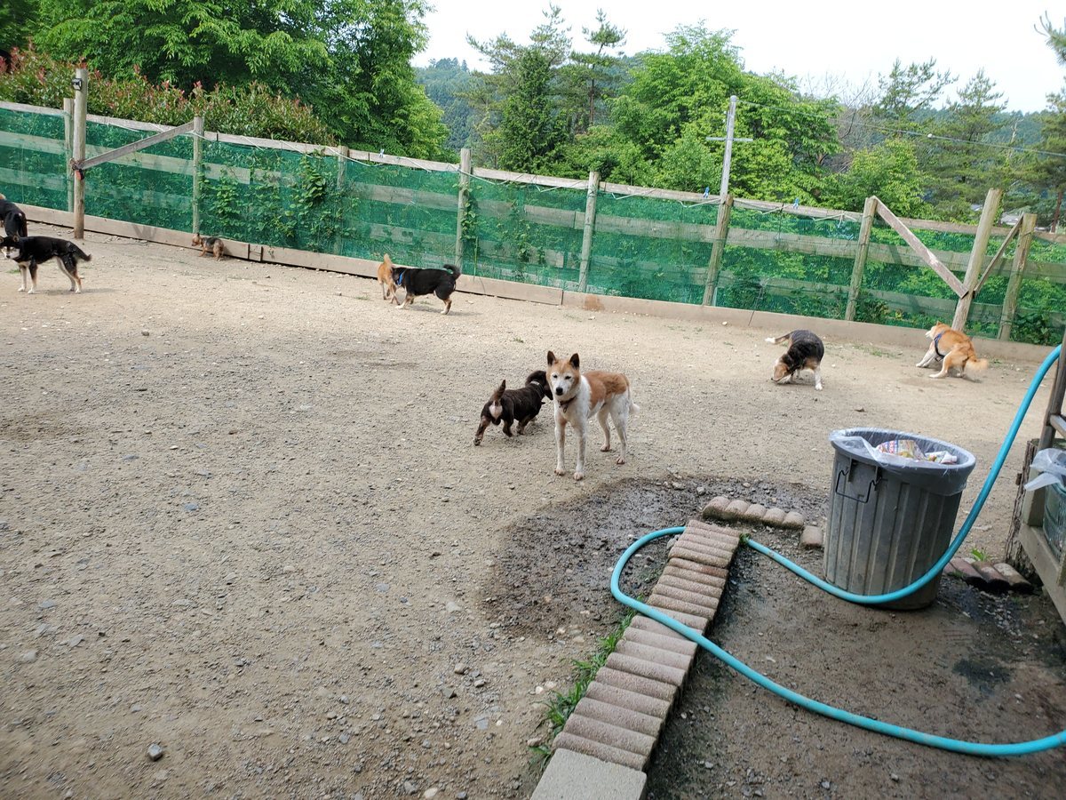 f：id：roukenhome-ann：20200607052615j：plain