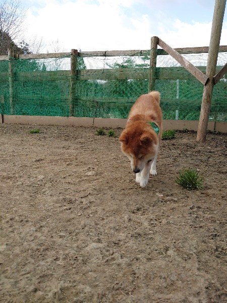 f:id:roukenhome-ann:20200708095944j:plain