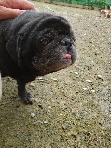 f:id:roukenhome-ann:20200727141354j:plain