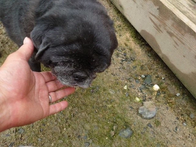 f:id:roukenhome-ann:20200727141358j:plain