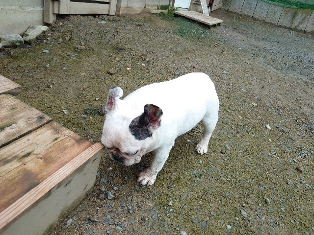 f:id:roukenhome-ann:20200727141402j:plain