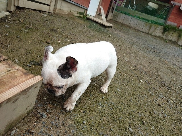 f:id:roukenhome-ann:20200727141407j:plain