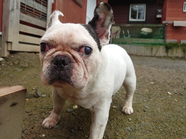 f:id:roukenhome-ann:20200727141412j:plain