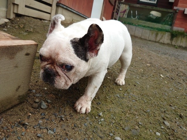 f:id:roukenhome-ann:20200727141416j:plain