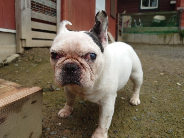 f:id:roukenhome-ann:20200727141420j:plain