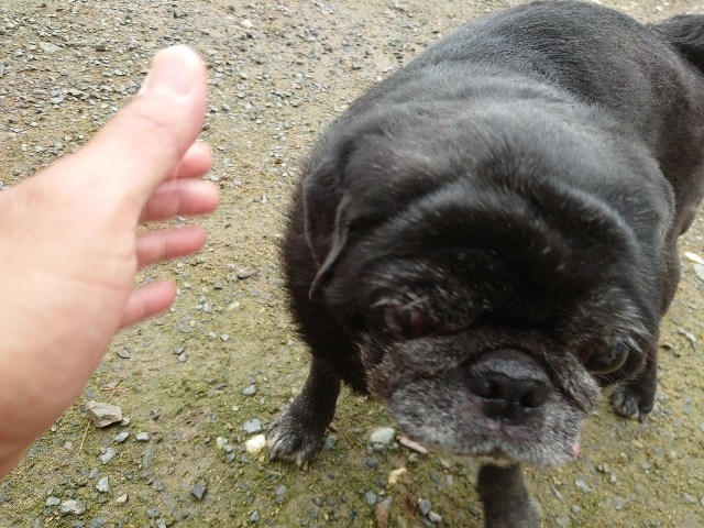 f:id:roukenhome-ann:20200727141503j:plain