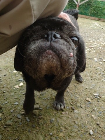 f:id:roukenhome-ann:20200727141507j:plain