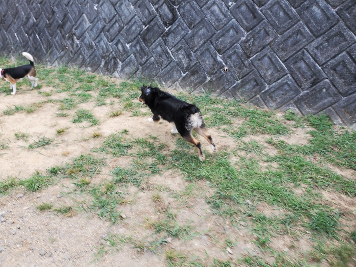 f:id:roukenhome-ann:20200902093003j:plain