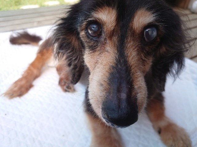 f：id：roukenhome-ann：20200914134519j：plain