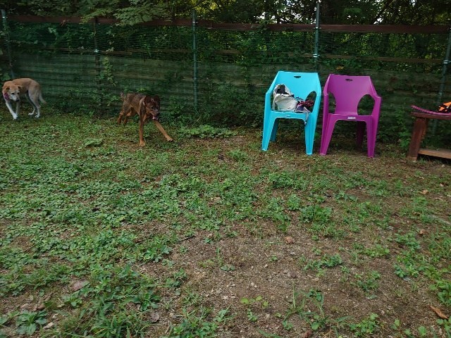 f:id:roukenhome-ann:20200915120209j:plain