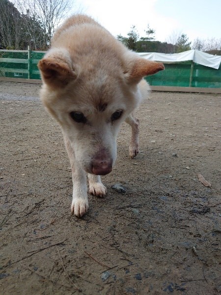 f：id：roukenhome-ann：20200922190038j：plain