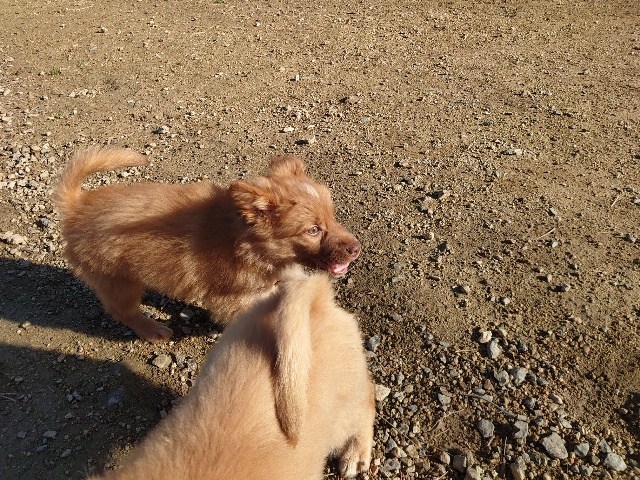 f:id:roukenhome-ann:20201205133944j:plain